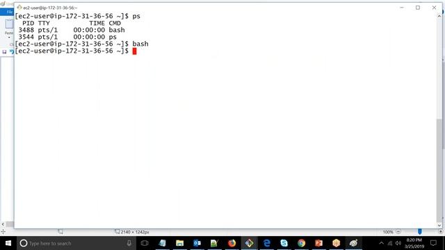 Shell Scripting Tutorial For Beginners - 1 | Shell Scripting Basics | Learn Shell Scripting