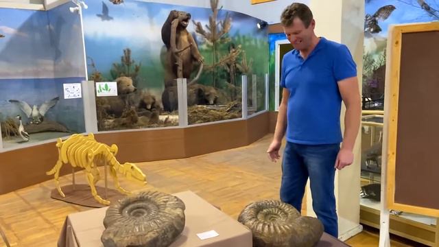 Выставка «Властелины мезозойских морей». Рассказывает Андрей Соломкин  | Музей природы 2020