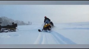 Тикси 250 с длинной гусянкой по пухляку