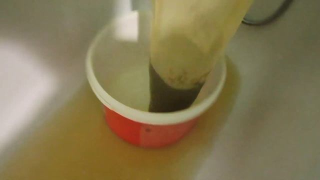 Ловим и заготавливаем корм для рыбок.(выпуск 10) смотреть онлайн