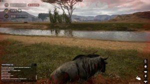 | ANIMALIA SURVIVAL | Антилопа гну . Гоняем стаю львов . Первый опыт боя.[RU]TAPKIN SURVIVAL (+Slot