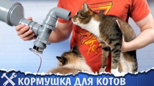 Автоматическая кормушка для котов v2