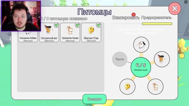 НАЙДИ ВСЕХ ПЕТОМЦЕВ В РОБЛОКС! (Roblox Collect All Pets!) | Альбертус