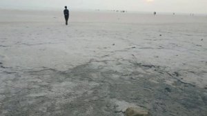 Эльтон Озеро и окрестности август 2021