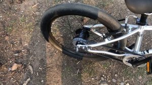 Ersteindruck: Early Rider Belter 20" (Modell 2020)