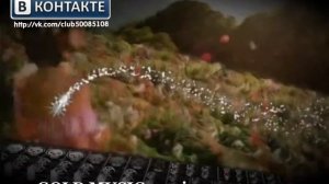 DJ Forsaga & Topless DJ Aurika GOLD MUSIC maximum energy 720