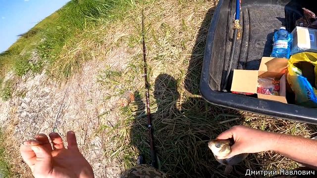 Рыбалка на соски! Отличный клёв крупного карася! Не успеваю забрасывать спиннинги! Рыбалка 2020!