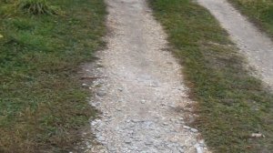 Спасательная операция Грядки из шифера