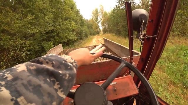 ГРИБНОЕ УТРО/РЯБЧИКИ СВИСТЯТ/ОТЛИЧНОЕ НАСТРОЕНИЕ