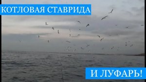 Котловая СТАВРИДА и ЛУФАРЬ на воблер - рыбалка на закате