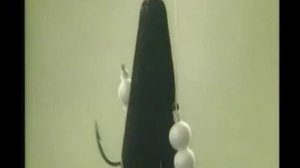 Ловля толстолобика со дна на технопланктон