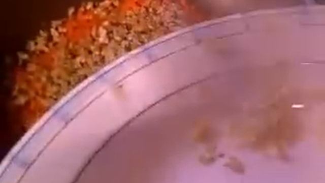Морковный салат или что можно приготовить из морковки