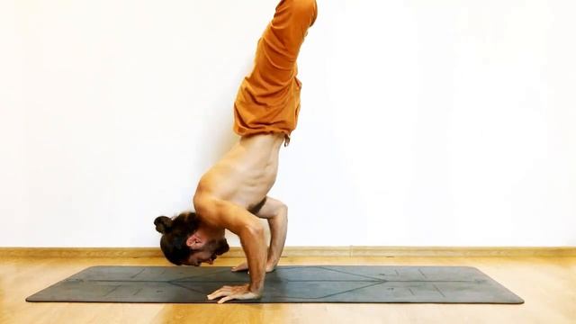 Cat Shanti - Yoga Push Up EXERCISES / Vitaliy Shakirov / 2017 смотреть онлайн