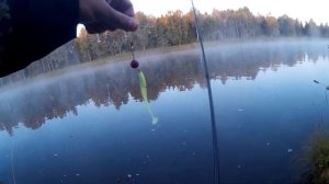 Обзор спиннинга Zetrix Exilon EXS 802M. Первые впечатления.