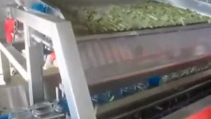 Линия производства консервированных огурцов