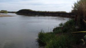 ЛОВЛЯ СУДАКА по СТАРИНКЕ на НАРЕЗКУ и ЖИВЦА
