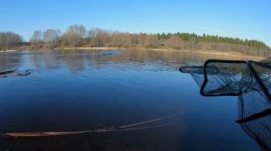 Рыбалка на фидер ранней весной _ Большой улов разнорыбицы.mp4