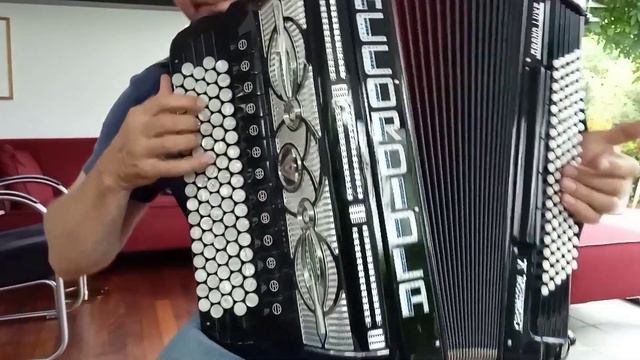 +491788835231 Баяны Аккордеоны изГермании.Accordiola Chromaton V De  Luxe.Cassotto Bgrif
