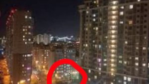 Топ 5 сиреноголовых снятых на камеру (Часть 2!)