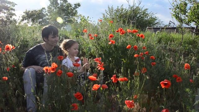 Сафари парк львов Тайган смотреть онлайн