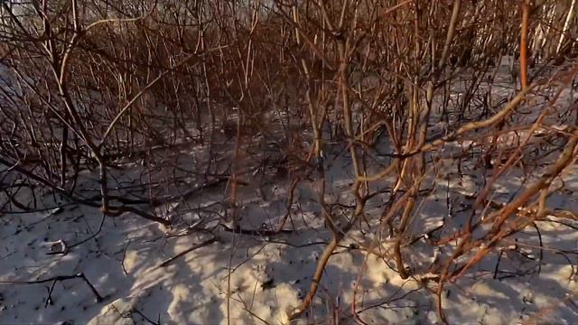 Крайний коп чермета 20го года