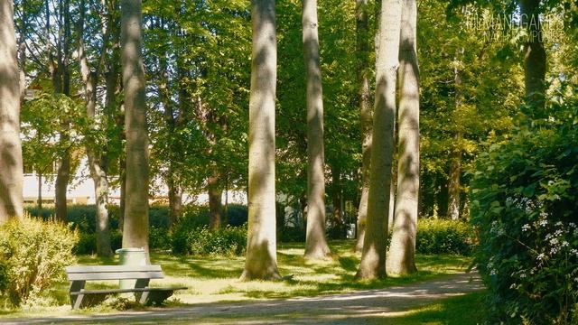 Endless Love - 4K / Ultra HD / UHD 25p - Panasonic Lumix FZ300 / FZ330 смотреть онлайн