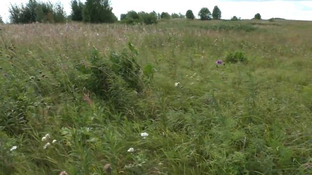 Слуда 2015 смотреть онлайн