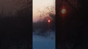 Из Сибири с любовью ❤️❄️❤️❄️❤️