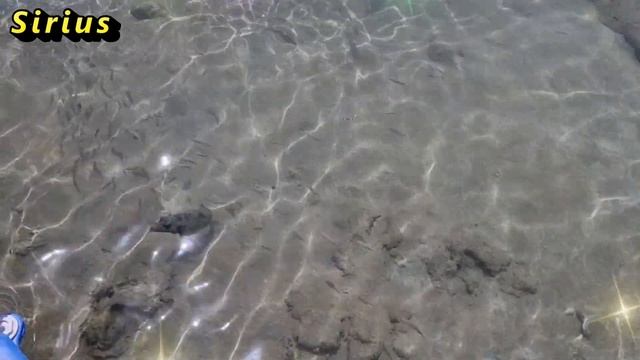 18 января – день Крещенского Сочельника: что категорически нельзя делать