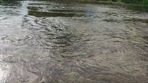 Река Дон.