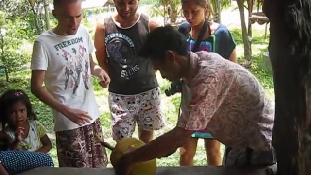 Спелейший джекфрут с дерева. смотреть онлайн