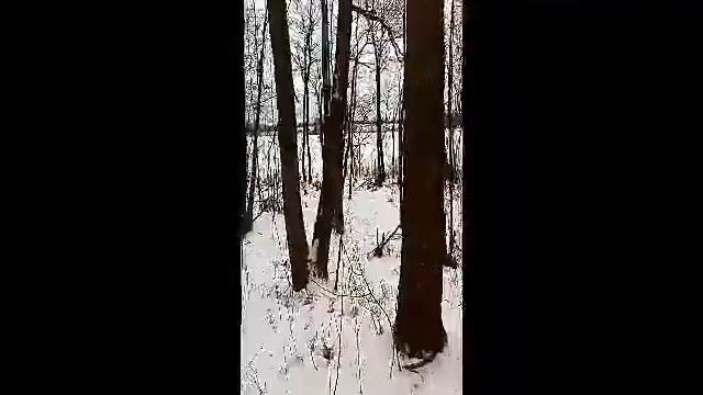 Рыбалка на озере Черстно Псковской области смотреть онлайн