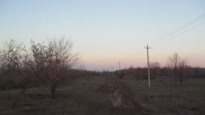 Опустевшее село Панино (колония немцев Поволжья Schönchen), Марксовский район