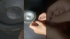 Как понять где плюс где минус  на динамике.