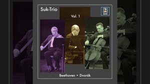 Piano Trio in D Major, Op. 70 No. 1 "Ghost": II. Largo assai ed espressivo