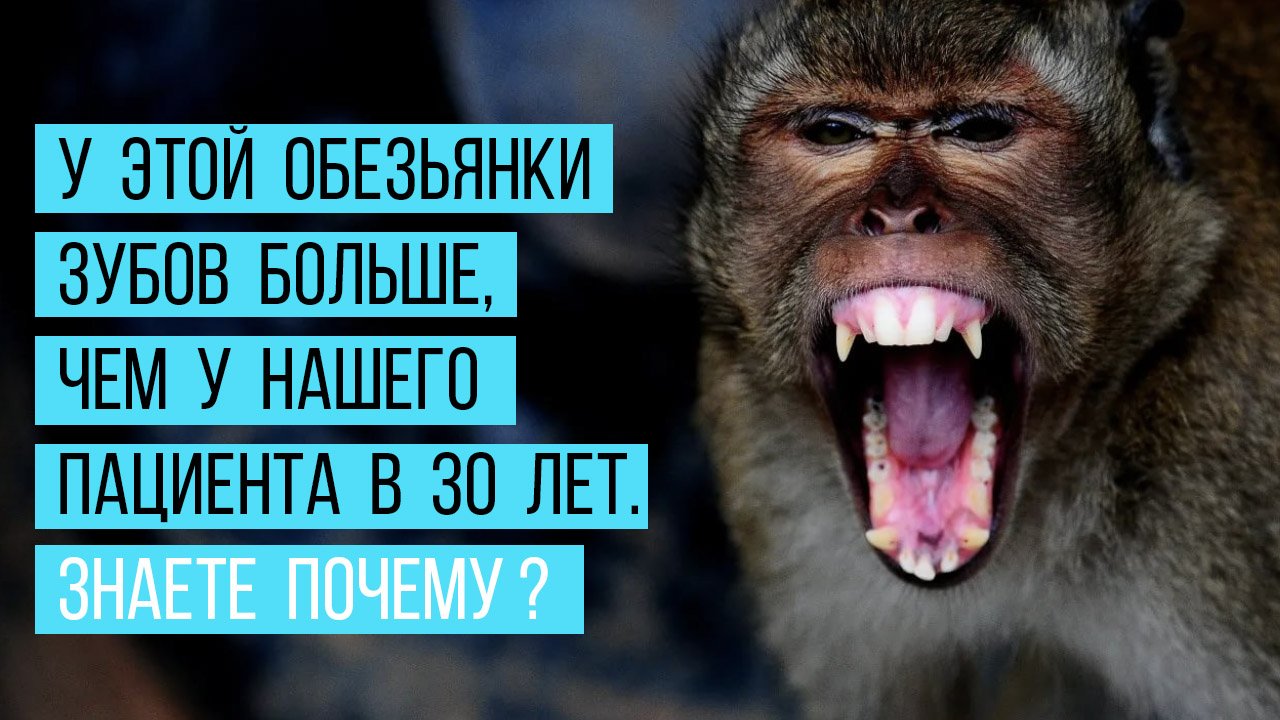 Как к 30 годам [из-за страха стоматологов‼️] остаться практически без зубов?