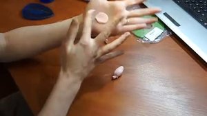 Мастер-класс цветы из полимерной глины