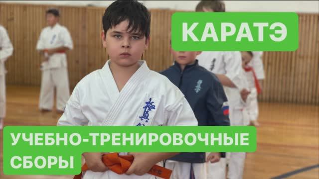 Карта киокушинкай видео