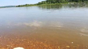 Ведро чехони за два часа на резинку