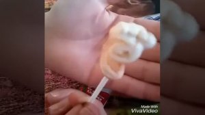 Пробую леденец с кислым порошком.