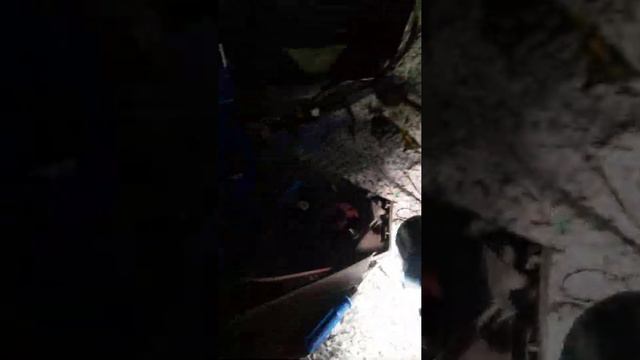 Течёт вода в багажник Лексус рх 330,300,350! смотреть онлайн