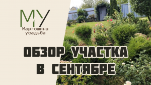 Обзор участка в начале сентября