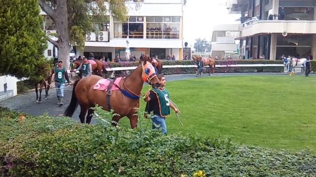 #WINTER КАК ПРОШЛА НАША #ЗИМА BEST MOMENTS OF WINTER смотреть онлайн