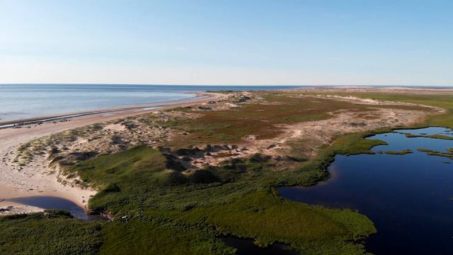 Другая Шойна  The Other Shoyna