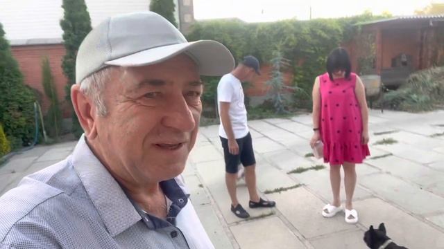 ? Французские бульдоги, Кузя и Максимка смотреть онлайн