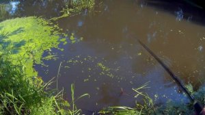 Tide Minnow Slim 175 от Bearking