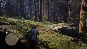 Охота на медведя в Red Dead Redemption 2