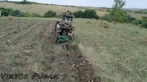Уборка картофеля минитрактором