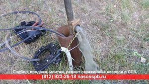 Насос PEDROLLO 4SR1M 25 в работе, скважинный насос напор 150 метров, производительность 1 - 1,8 м3