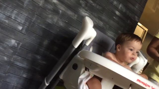 Реакція на алабая Малиша